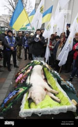 a-dead-pig-in-a-coffin-symbolic-for-animal-husbandry-funeral-during-the-demonstration-ukrainian-farmers-pr...et-and-submitted-it-to-the-considered-parliament-as-local-media-reports-photo-by-pavlo-gonchar-sopa-imagessipa-usa-2EP85G4