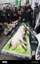 november-13-2019-kiev-ukraine-farmers-and-activists-stand-near-a-coffin-with-a-dead-pig-during-symbolic-fu...ted-for-consider-to-the-ukrainian-parliament-a-bill-about-land-market-in-ukraine-credit-image-serg-glovnyzuma-wire-2A95J5N