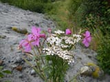 DSCN9899