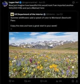 wildflowers h1b