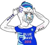 bluewaveliberal