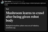 Fog Fungus NanoBots