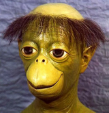 I am bald since 18 and didn&#039;t give a single fuck since then