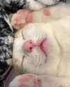 1728851568307000_thumb.jpg