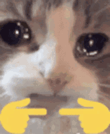 3848419
