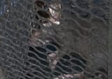 Thread 512874762 OP Image