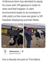 546566577