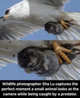 FB_IMG_1753646969634