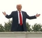 tinytrumponroof