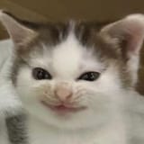 1746670842121855