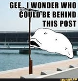 jewwz