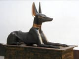 Anubis