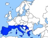 1754565297482871