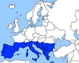 1753878276301161