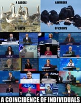 a cioncidence of politicians