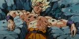 mfw goku
