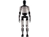 telsa bot