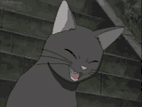 Catlol