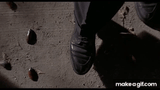 cockroach MIB scene