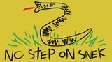 no step on snek 