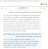Jew kills a goyim, he is not responsible