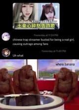 chinktrannyisabasedfoid