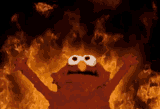 excited-fuego