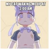 1625551660873