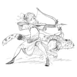trad ari inst5
