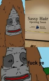 sassy hair