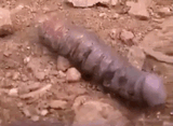1722471353264446