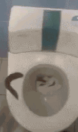 clean it up jannybot