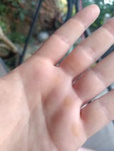 IMG20250807195149