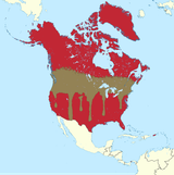 united what of whom