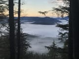 IMG_1293