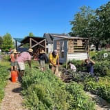 actual garden
