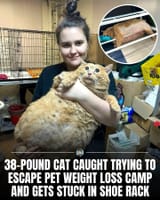 FB_IMG_1754582218385