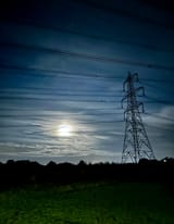 IMG_3525