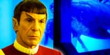 star-trek-whales-important-starfleet-1-1-446331164
