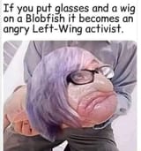 1729270884865922