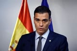 &#039;white&#039; spaniard