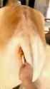 1698814349841105_thumb.jpg