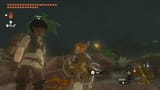 afro hylian