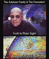 Fester