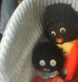 niggers