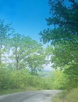 Appa View from Mountain