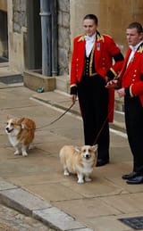 rs_634x1024-221008122721-634-Queen-Elizabeth-corgis-KD-100822