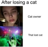 cate - rave