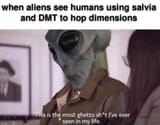 DMT-Ghetto-Alien-Human-Dimension-Hop