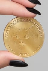 Solid Gold nig Cat